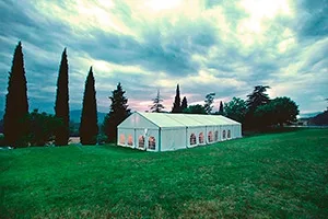 RETIRO DEL AÑO 19 MAS GIRCOS 3